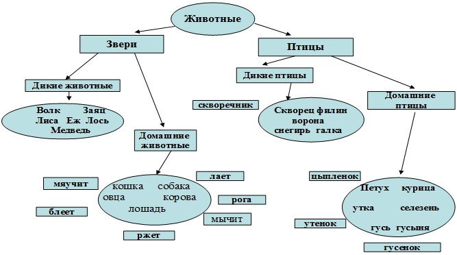 Дипломная работа: Особенности лексической стороны речи у детей 5-6 лет со стертой дизартрией